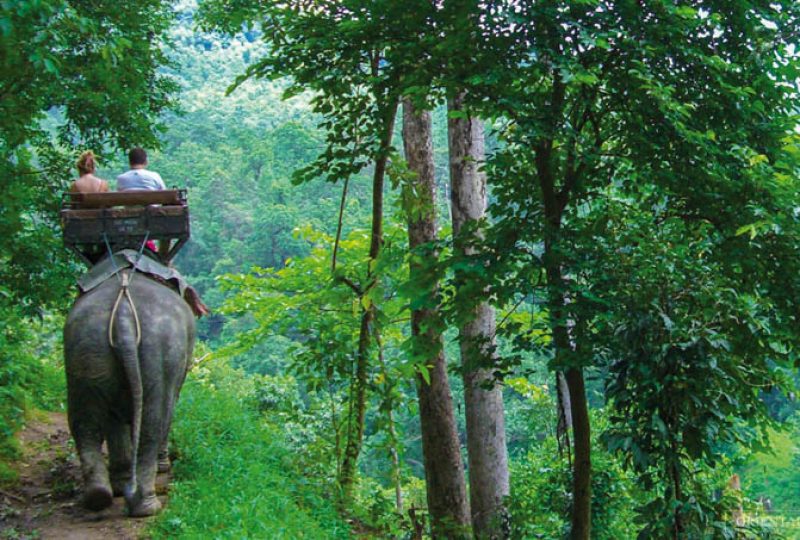 Thailandia fra trekking, natura ed elefanti